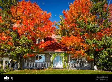 北漂哪个省的居多,赵姓在哪个省居多