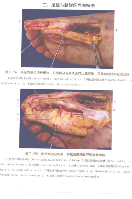 电子小说阅读器,EPUB阅读器