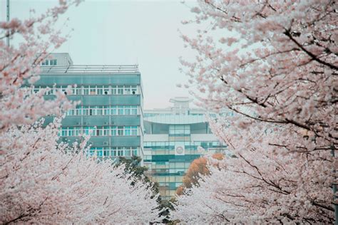 武大有什么不好,武汉大学有什么专业比较好