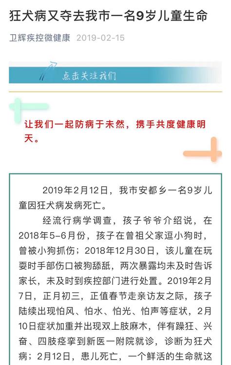 狗狗狂犬病的特征,小狗狂犬病什么症状