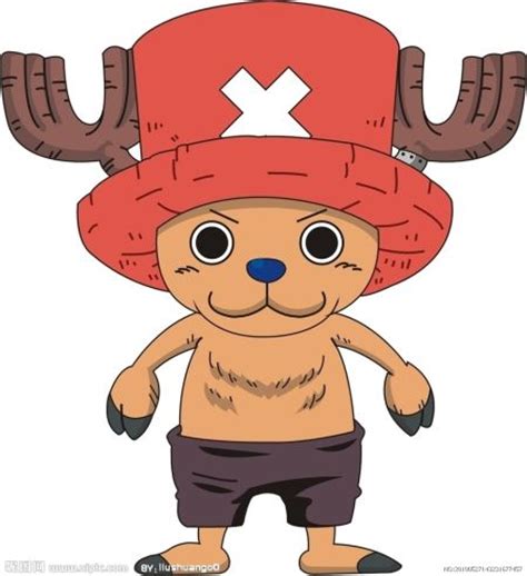 热血海贼王怎么进阶乔巴,双翼的进阶之路