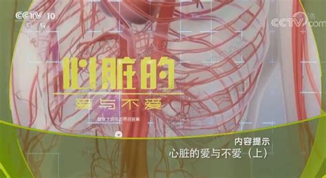 北京综合一本大学有哪些内容是什么,河北有哪些学校是一本大学