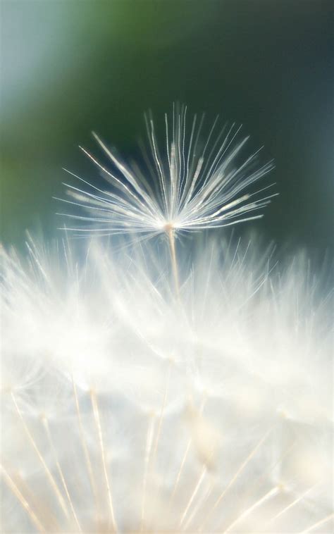 真我手机,您筛选的手机暂时没有找到