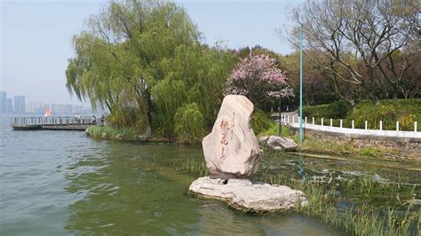 温州桃花岛在哪里,你知道在哪里吗