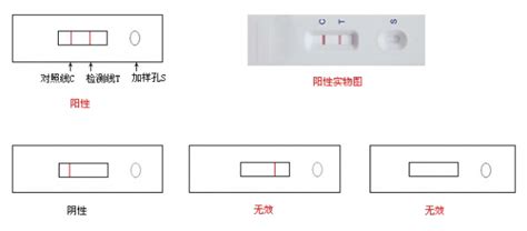 猫得了猫瘟打完针发烧怎么办遇到星期宠怎么办,猫瘟的猫怎么办