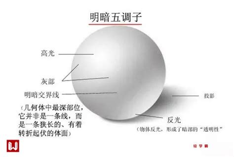 素描中的五大调是什么,学好素描的关键是什么