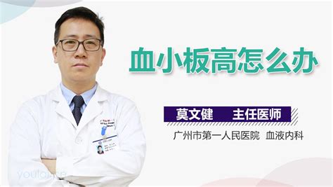 热血宝宝怎么打人,择偶的标准是怎样的