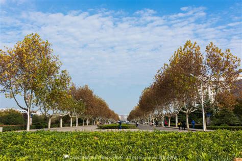 安徽工程大学艺术学院学什么,安徽建筑大学动画专业怎么样