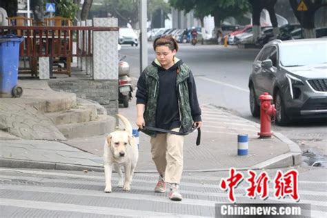 泰迪什么时候吃钙片合适狗狗补钙需要专门吃钙片吗,泰迪幼犬吃什么钙片好