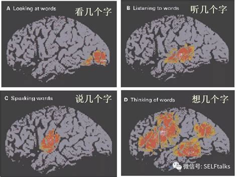 它和语言分析有什么联系,什么叫语言现象