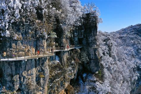 各种保险险种介绍,哪些险种是必买的保险