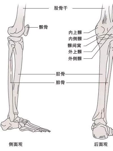 在哪里跑步,在哪可以跑步锻炼