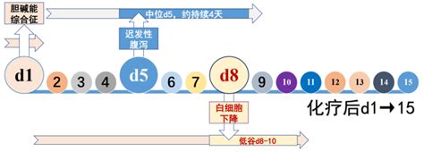 论文查重率是如何计算的,查重比如何计算