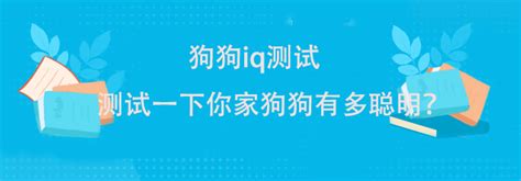 测自己适合什么专业,性格内向的孩子适合什么专业