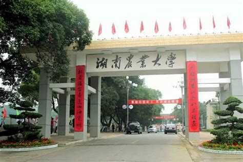 中南大学仅居第二,湖南什么大学有名