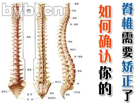 为什么时间不能扭曲,时空扭曲是如何产生和形成的