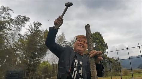 狗狗不吃饭怎么办,为什么狗狗总是不吃饭