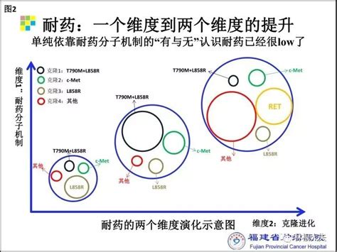 英文论文查重要求高吗,如何避免英文论文查重