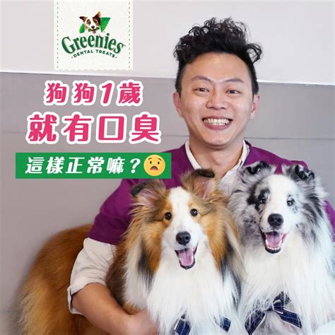 幼犬狗狗嘴巴臭怎么办,狗狗嘴巴好臭怎么办