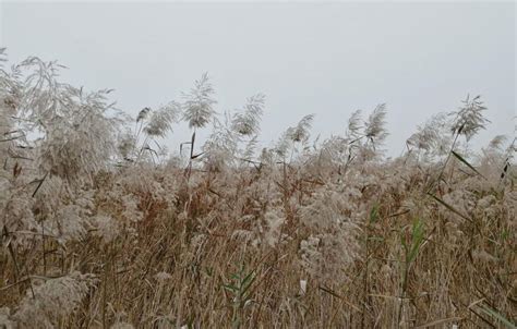 河南三门峡房价多少,河南三门峡5线城市