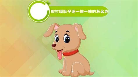 杭州怎么办狗证,送给杭州所有铲屎官的好消息