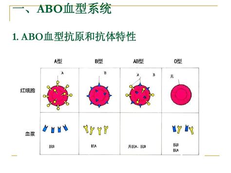 什么是创伤性失血,创伤性失血输入什么血