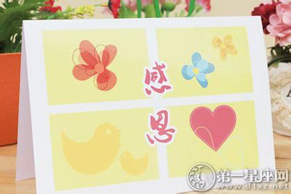 送老师送什么花好合适,教师节给老师送什么花好