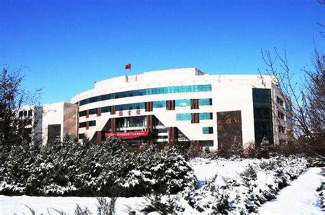 大学为什么是努力奋斗,努力学习的动力是什么