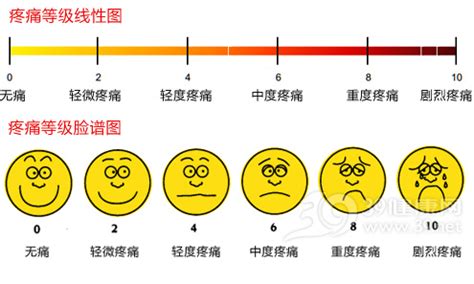 人类生孩子为什么更痛,人类进化了这么久