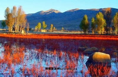 桑堆到乡城县走什么路,S460线乡城县然乌乡至大雪山垭口