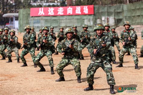 战士怎么练刺杀,科学训练刺杀技能