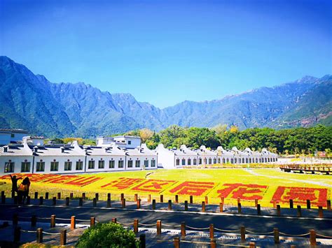 海丰公共事业局在哪里,海城镇委镇政府