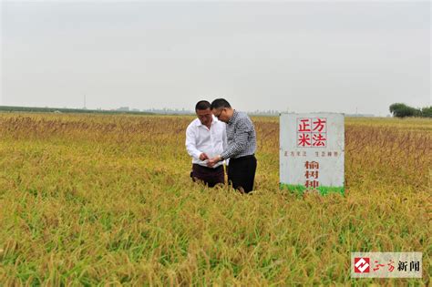 1000平方米做什么生意好,重庆女人从1000元起步