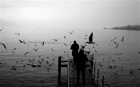 一只泰迪狗大概需要多少钱,花600块买了只泰迪