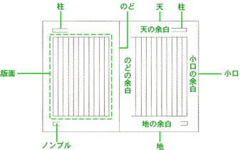 ColorOS,coloros最新版本前面