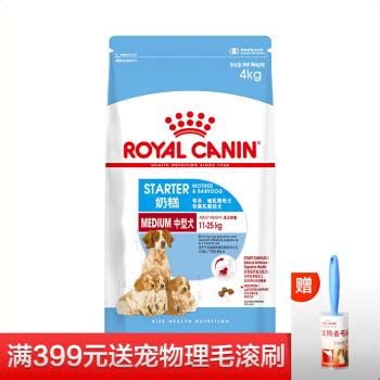 金毛幼犬怎么长得快,想要金毛毛发长得好