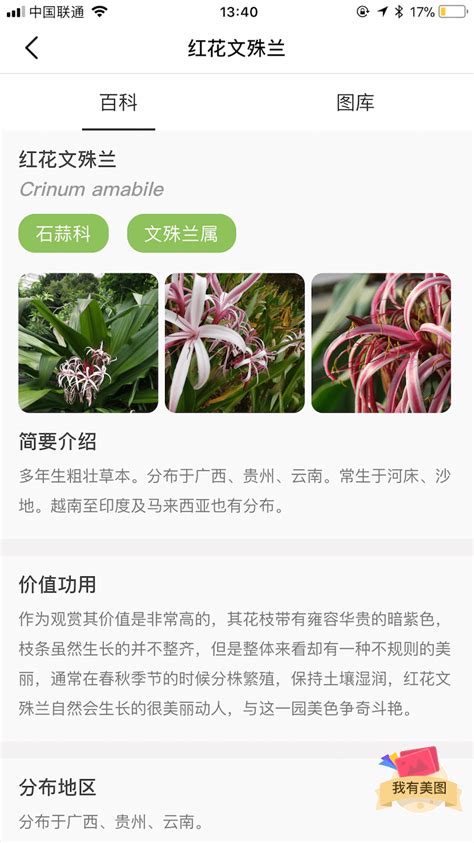 手机拍照哪个好,拍照手机哪个牌子好