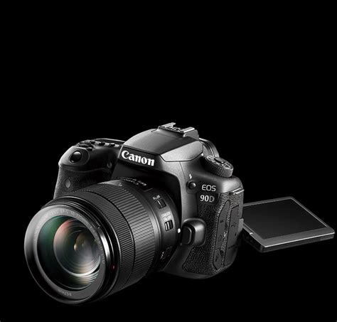 拍鸟买什么相机,佳能90d相机