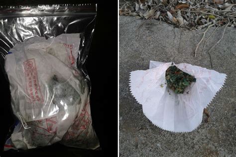 狗狗中毒了用什么急救,狗中毒可以用什么急救