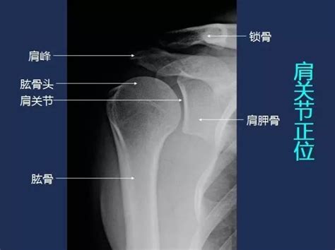 临床医学学什么最好,我们来聊一聊临床医学吧