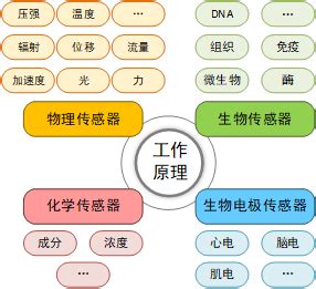 医院传感器上的是什么意思,一文读懂位置传感器