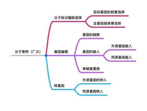 质量公路文推荐,公路文什么意思