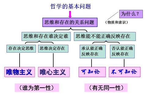 你在哲学上的目标是什么,哲学究竟是什么论文