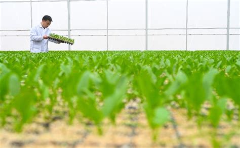 崇左市有什么新工厂正在建设,国家重点高新技术企业红太阳落户崇左