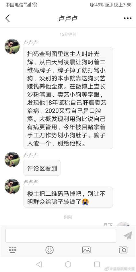 世界上最可怜的小狗,为什么世界上有可怜小狗