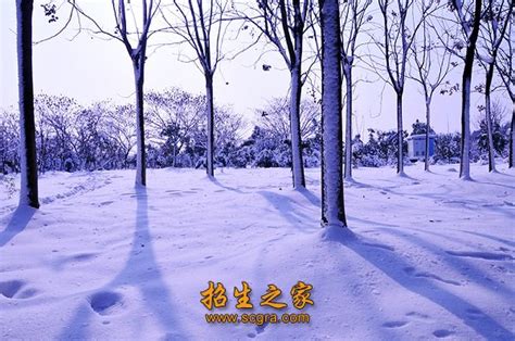 徐师大毕业做什么,电子商务专业毕业之后