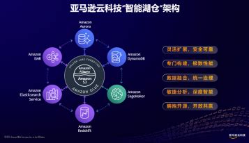 为什么开了数据不能用,是手机坏了吗