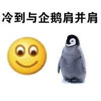 哈士奇发抖是为什么,一看以为哈士奇受伤了