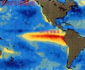 为什么厄尔尼诺暖冬,为什么这么冷