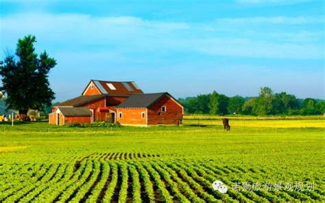 乡村建设规划是什么意思,农村建设规划什么意思